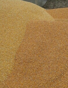 20131007_131419-1-1.jpg