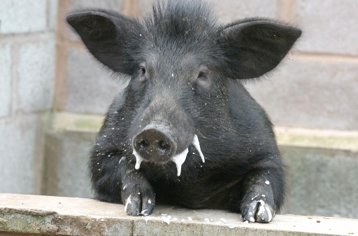 Witajcie w Polsce.jpg