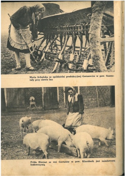 No i Pani gospodyni hodowczyni z zamiłowania :-)